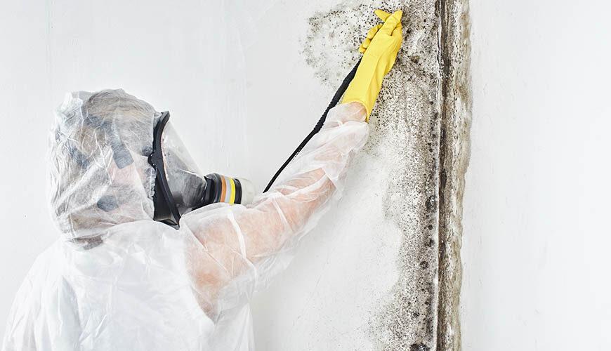 California mold remediaiton